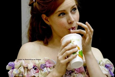 Amy Adams Wallpapers   Amy Adams Wallpapers (34816497)   Fanpop