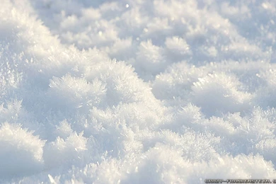 Winter Snow Wallpapers   Crazy Frankenstein