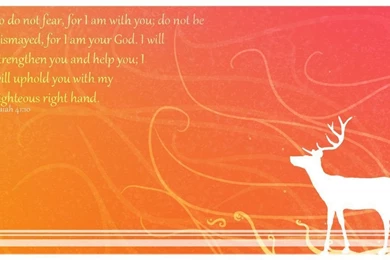 Deer Desktop Wallpapers By Dodgerblue99 On DeviantArt