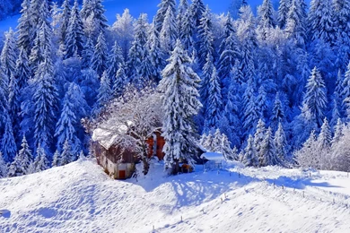 HD Backgrounds Winter Snow House Ice Trees Hill Wallpapers ...