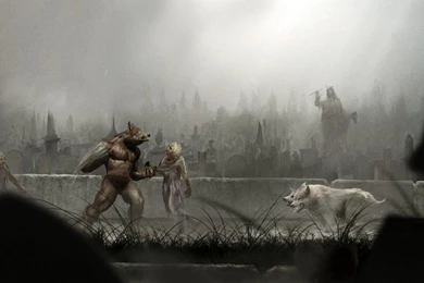 Castlevania Wallpapers And Images   Wallpapers, Pictures, Photos