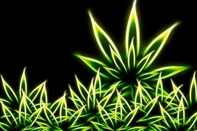 Gallery For   Wallpapers Smoking Weed