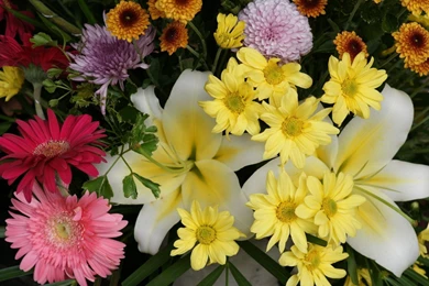 Beautiful Seen Computer Wallpapers Beautiful Wallpapers Flower ...