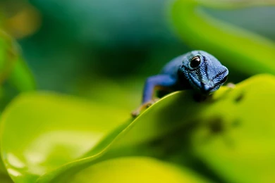 2560×1440 HD Wallpapers