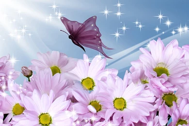 Download Download Summer Flowers Wallpapers For Iphone