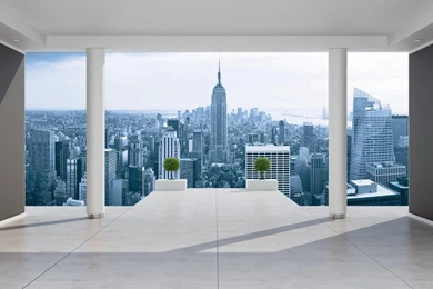 New York Empire State Penthouse View Wallpapers Mural     Amazon.com