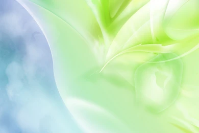 Free Light Green HD Wallpapers Download For Quote Backgrounds