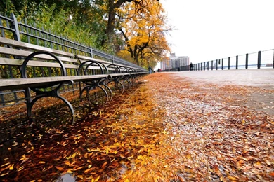 New HD Wallpapers 1080p.jpg