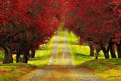 New Wallpapers HD   HD Images New