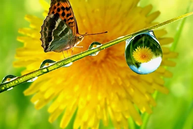 New ipad wallpaper hd 2048×2048 603