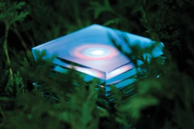 MGMT LateNightTales Cover Art Wallpaper! : Mgmt