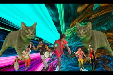 Ray Tintori: A Premature Retrospective