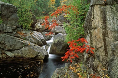 Gallery For Free High Resolution Nature Wallpapers