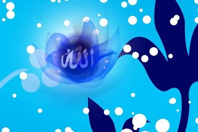 Free Islamic iPhone 5, 5S, 5C Wallpapers   Free Islamic Apps