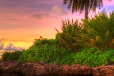 Best iPhone 5c Wallpapers HD 2 576x1024.jpg