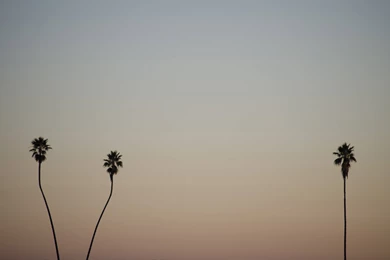 Minimalist Mac Desktop With Minimalist Icon Set And Live Wallpapers ...