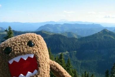 Domo Kun One Nation Under Domo Wallpapers 1024x768   Descargar ...