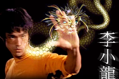 New Wallpaper: Jeet Kune Do Wallpapers