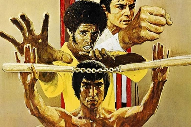 Gallery For   Bruce Lee Dragon Wallpapers