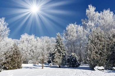 Gallery For   Free Winter Landscape Wallpapers Desktop