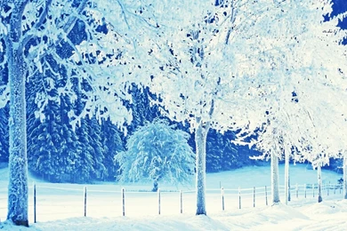 HD Winter Backgrounds: Beautiful By Free Download Best HD ...