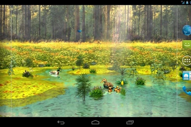 Ducks 3d live wallpaper full 6de6bf h900.jpg