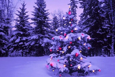 2015 Free Desktop Wallpapers For Christmas   Images, Photos, Pics ...