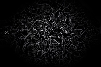 Free Wallpapers   Free Sport Wallpapers   Jumpman23 Wallpapers ...