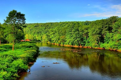 Fishing Landscape Desktop