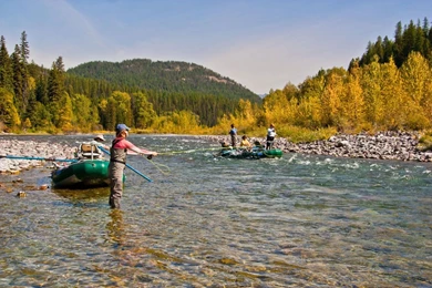 Gallery For   Fly Fishing Montana Wallpapers