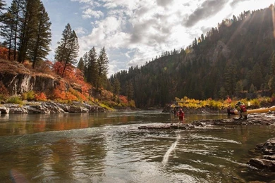 Fly Fishing Wallpapers