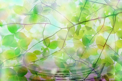 Summer Computer Backgrounds