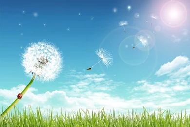 Summer Day Wallpapers In HD