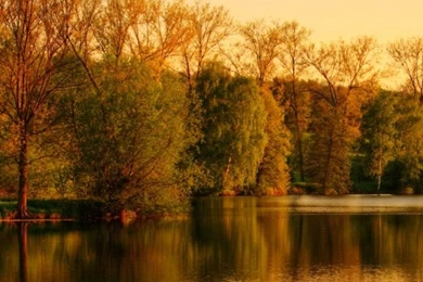 Park Lake Autumn iPhone 5s Wallpapers Download