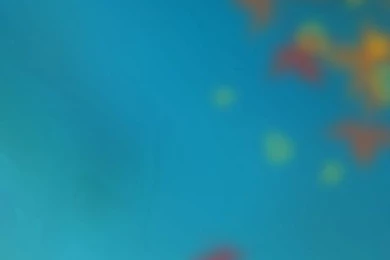 Autumn iPhone 5s Wallpapers