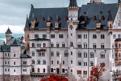 Neuschwanstein Castle in Fall 640x1136.jpg