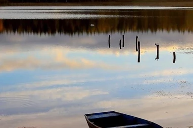 Iphone 5 wallpapers hd 2848 4i6mf.jpg