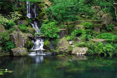 Jungle Waterfall Wallpapers Free