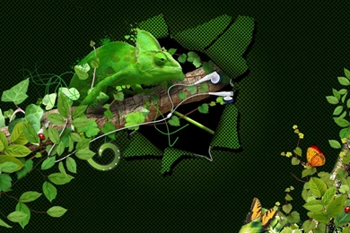 Gallery For   Audio Jungle Wallpapers Gratis