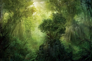 Gallery For Jungle Wallpapers