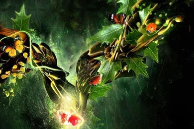 Butterflies Jungle Wallpapers HD Wallpapers