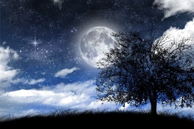 Starry Night Wallpapers 500 Collection HD Wallpapers