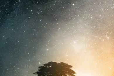 iPhone 5s Wallpapers