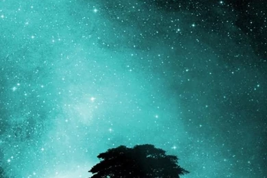 Sky Full Of Stars iPhone 5 Wallpapers