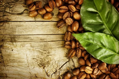 Coffee Coffee Beans Fresh New Hd Wallpapers [Your Popular HD ...