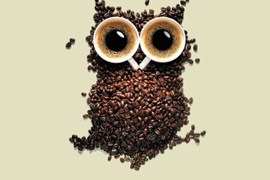 Coffee Owl