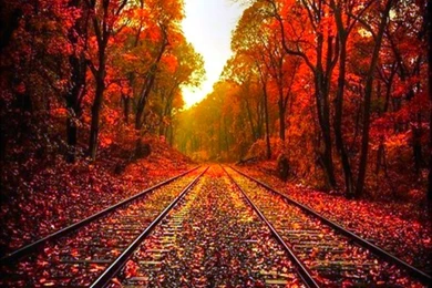 Gallery For   Beautiful Autumn Desktop Wallpapers