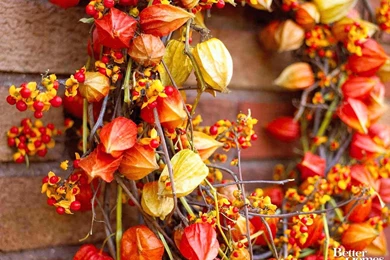 Free Autumn Desktop Wallpapers Www Wallpapers In Hd Com