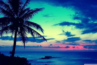 Tropical Sunrise HD Desktop Wallpapers : High Definition ...