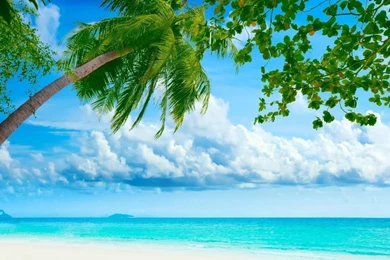Tropical Beach Resorts HD Desktop Wallpapers : Widescreen : High ...